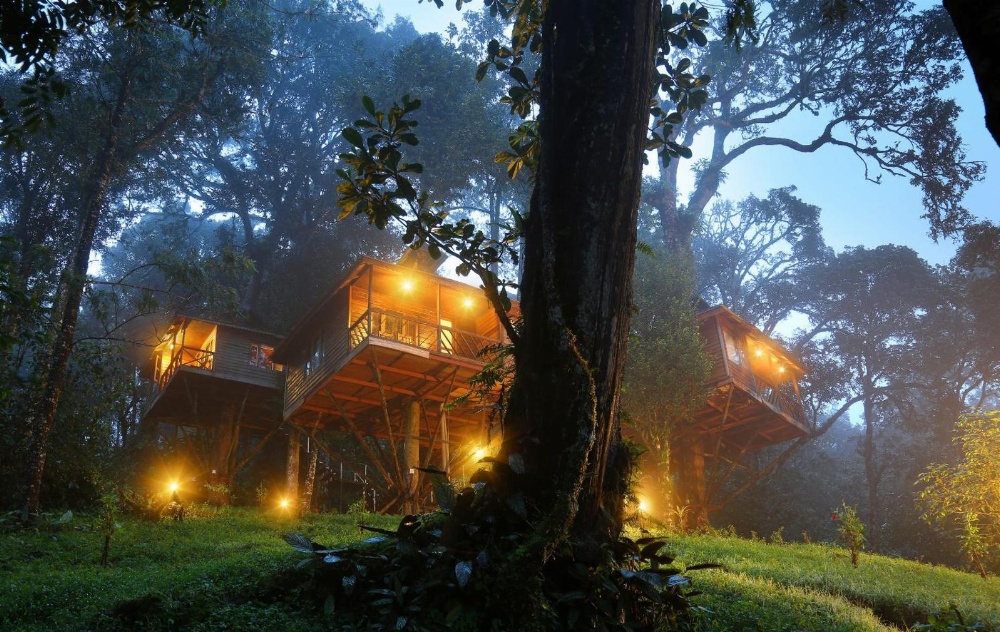 Nature Zone Jungle Resort- Experience the Wilderness & Adventure Main image