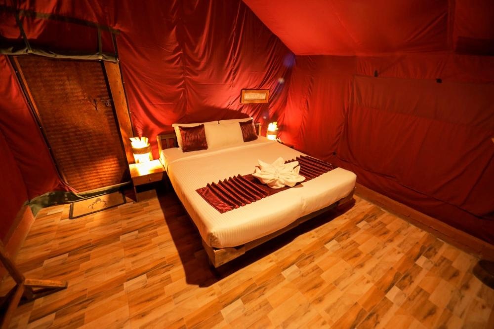 Nature Zone Jungle Resort- Experience the Wilderness & Adventure