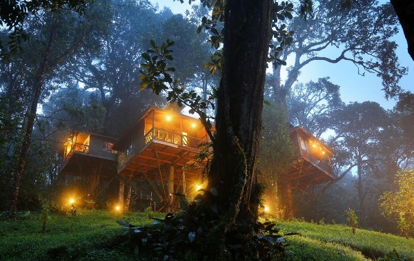 Nature Zone Jungle Resort- Experience the Wilderness & Adventure Main image