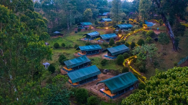 Nature Zone Jungle Resort- Experience the Wilderness & Adventure Main image