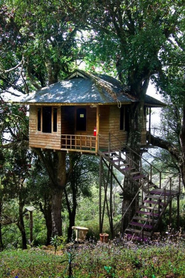 Nature Zone Jungle Resort- Experience the Wilderness & Adventure image 46