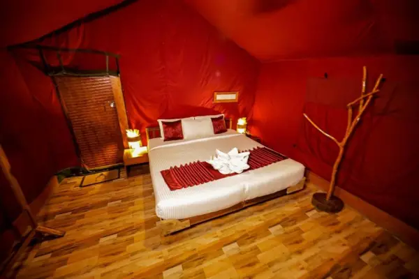 Nature Zone Jungle Resort- Experience the Wilderness & Adventure 10