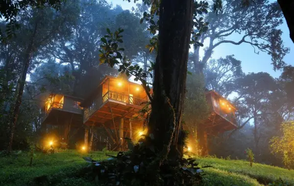 Nature Zone Jungle Resort- Experience the Wilderness & Adventure Main image
