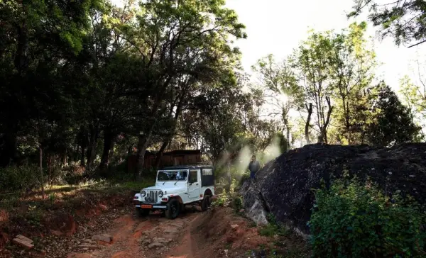 Nature Zone Jungle Resort- Experience the Wilderness & Adventure 5