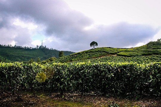 Tour image 2