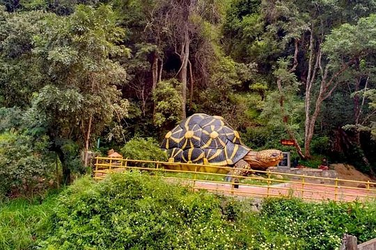 Tour image 5