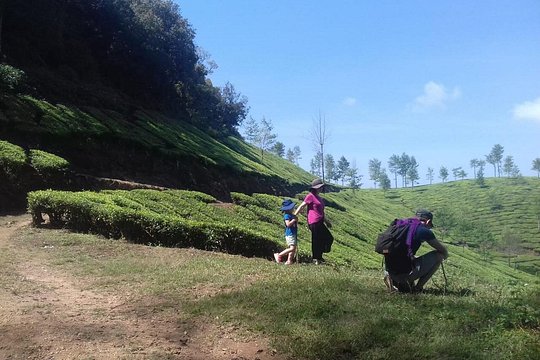 Tour image 4