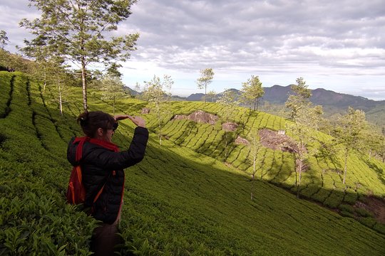 Tour image 5