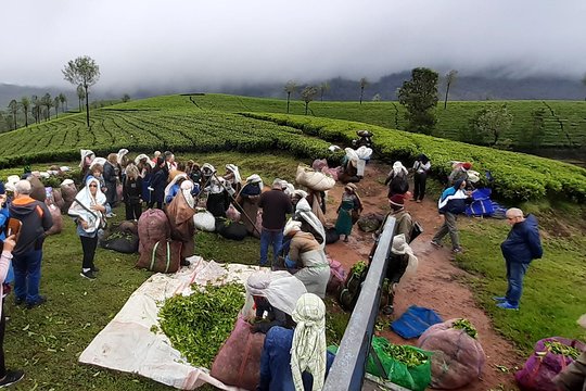 Tour image 11