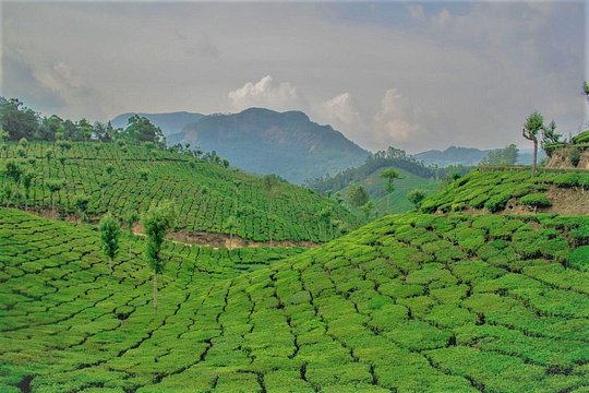 Tour image 6