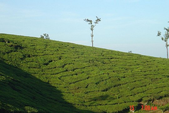 Tour image 11
